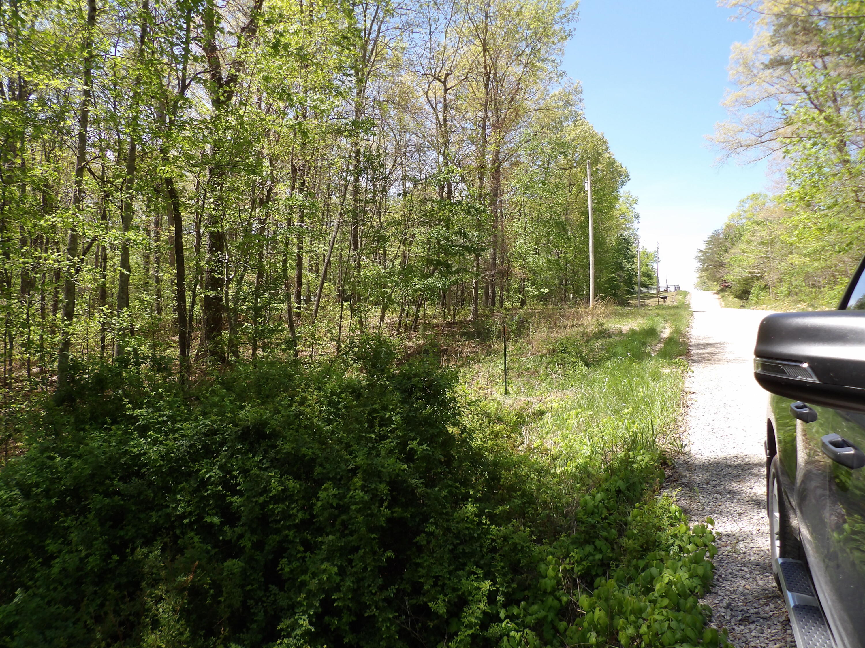 310 Dogwood Road Pikeville, TN 37367 - Photo 21 of 25 100_2427