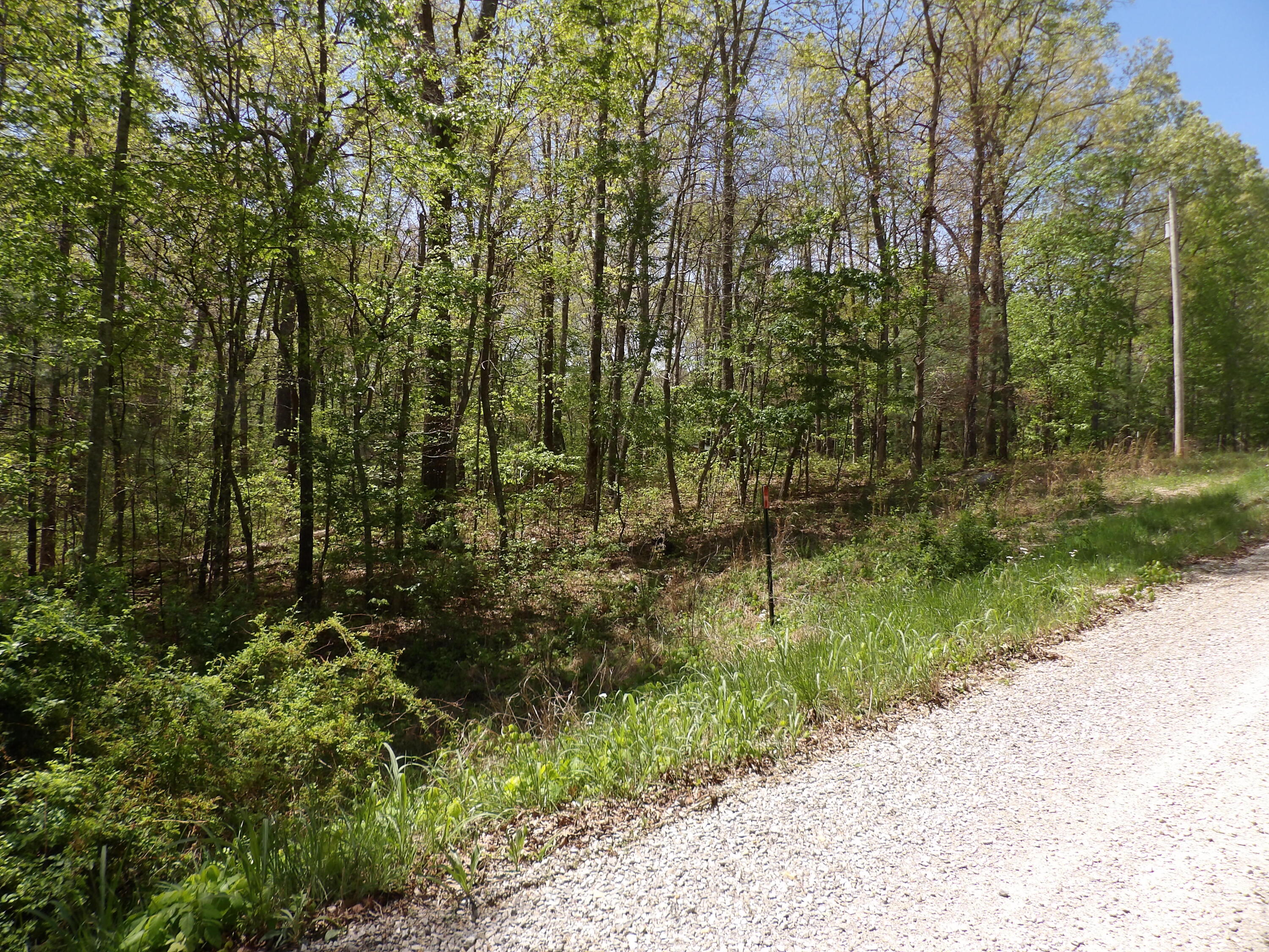 310 Dogwood Road Pikeville, TN 37367 - Photo 22 of 25 100_2429
