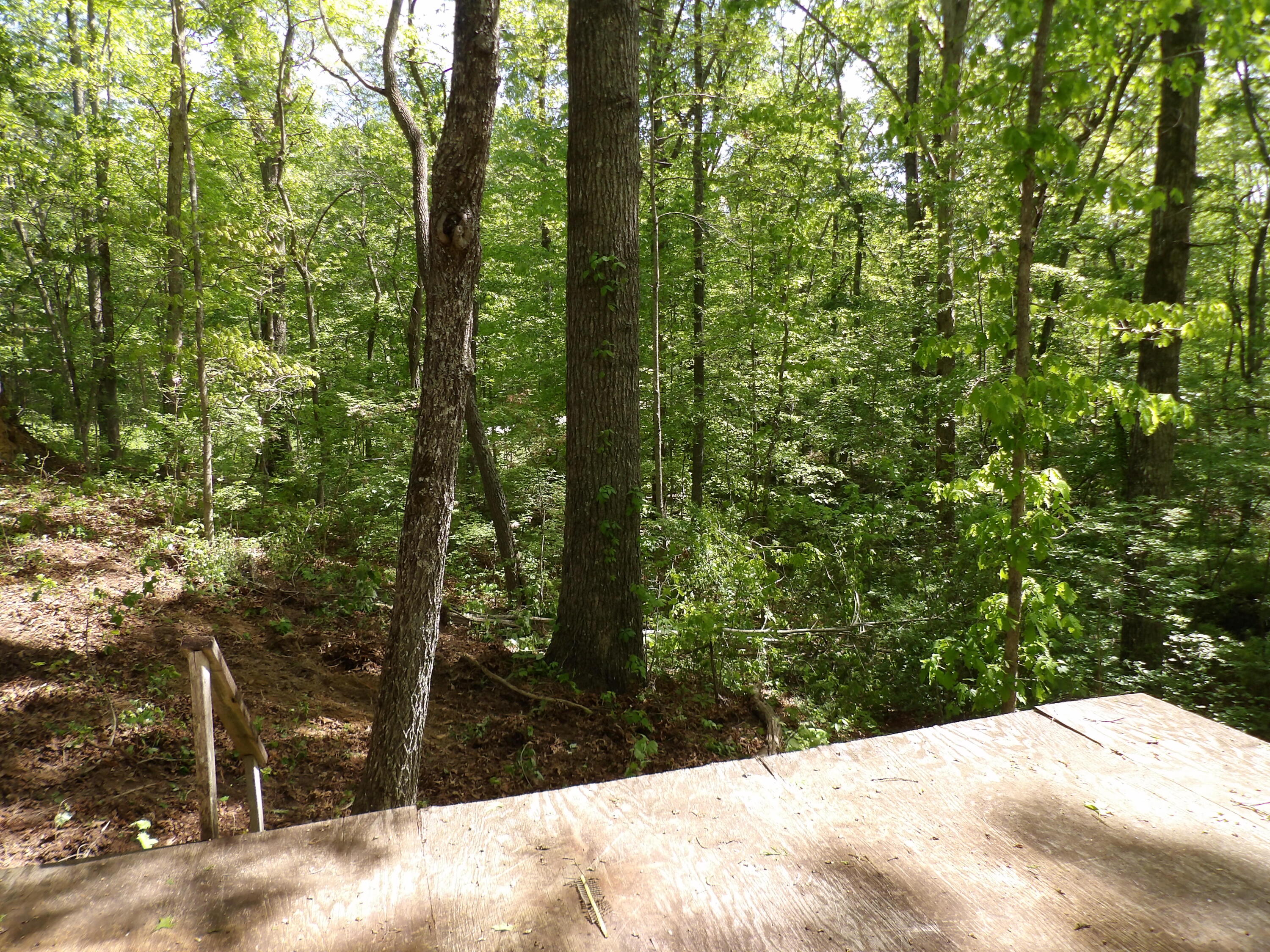 310 Dogwood Road Pikeville, TN 37367 - Photo 23 of 25 100_2476