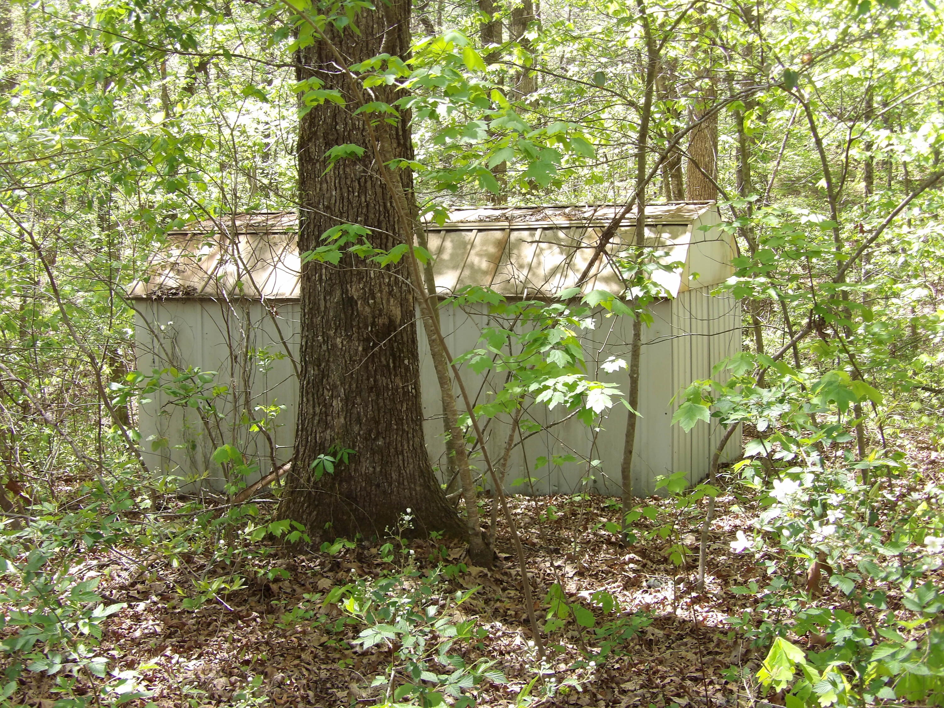 310 Dogwood Road Pikeville, TN 37367 - Photo 3 of 21 100_2410