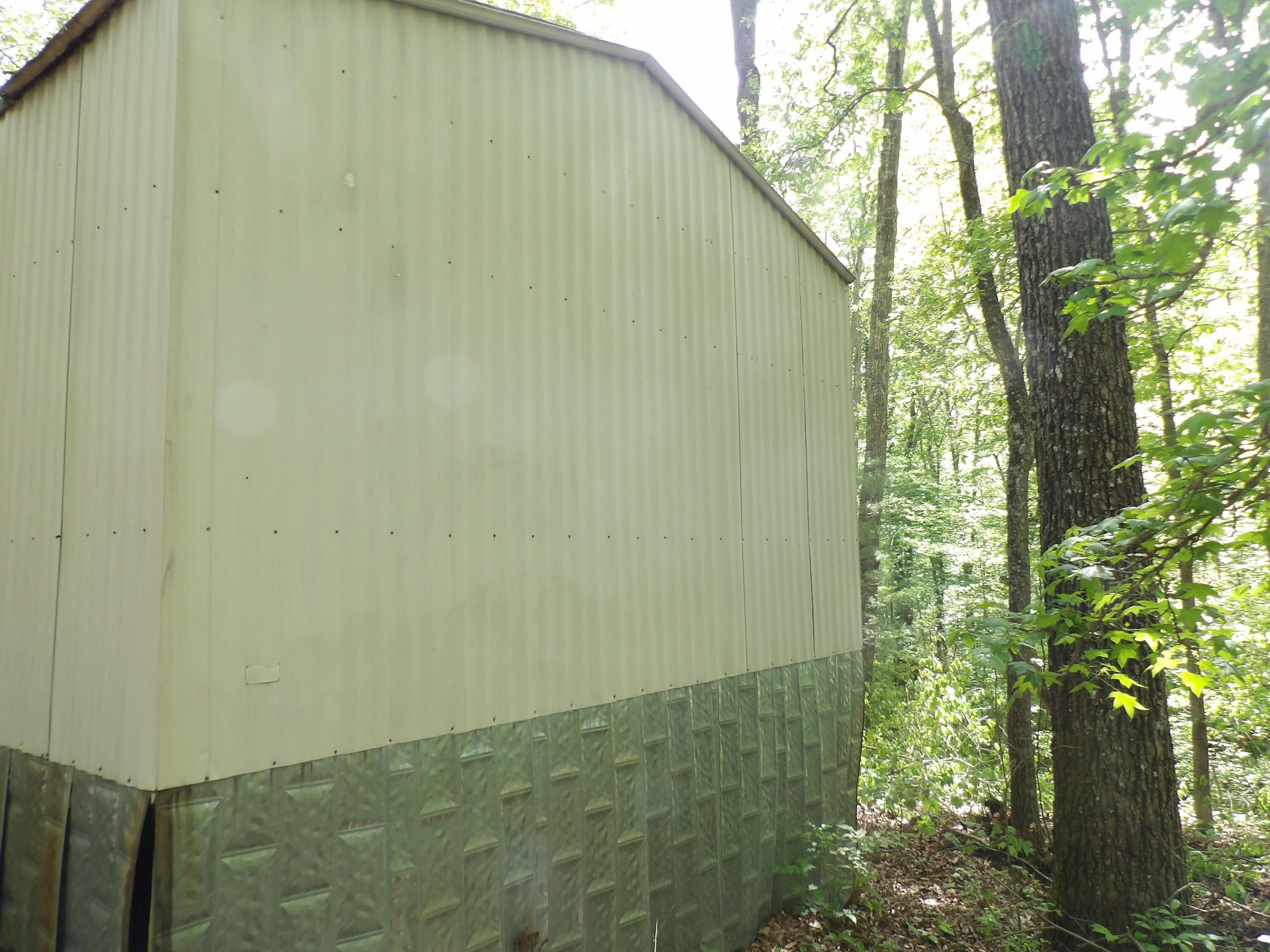 310 Dogwood Road Pikeville, TN 37367 - Photo 4 of 25 100_2473