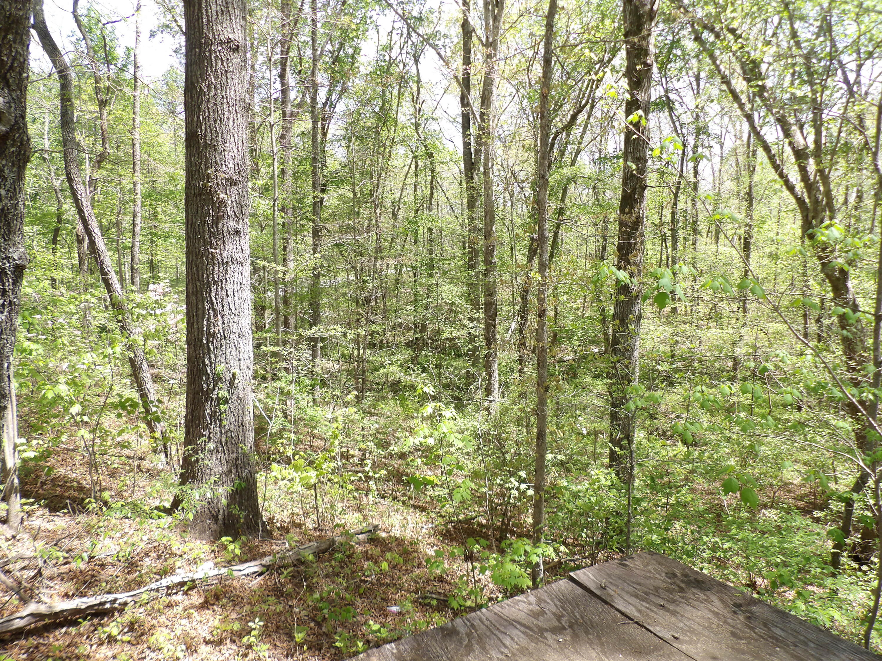 310 Dogwood Road Pikeville, TN 37367 - Photo 5 of 21 100_2413