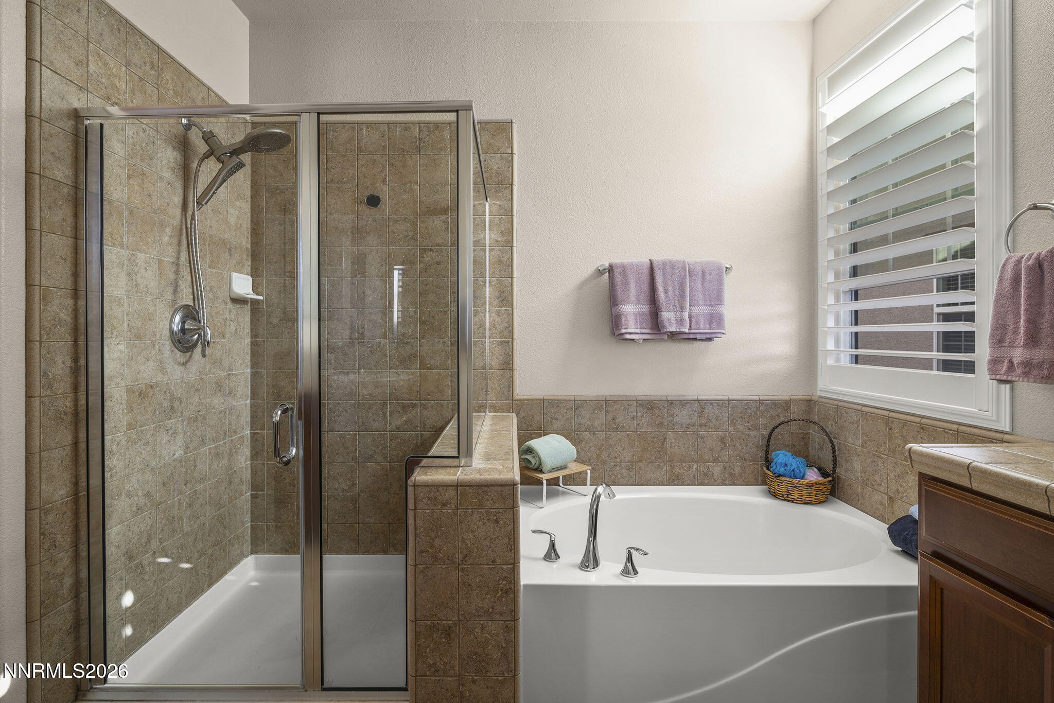 1805 Wind Ranch Road, Unit A Reno, NV 89521 - Photo 20 of 31 20-web-or-mls-_DSC4299