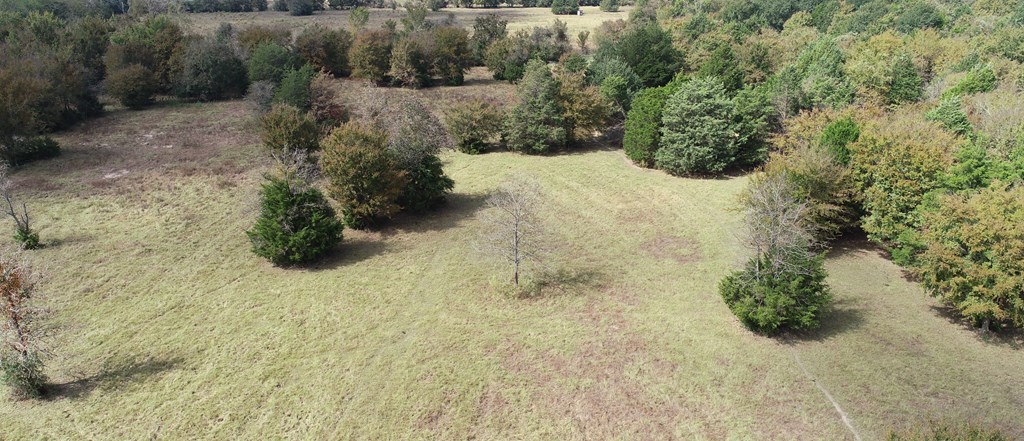 2703 AN County Road Tennessee Colony, TX 75861 - Photo 7 of 30