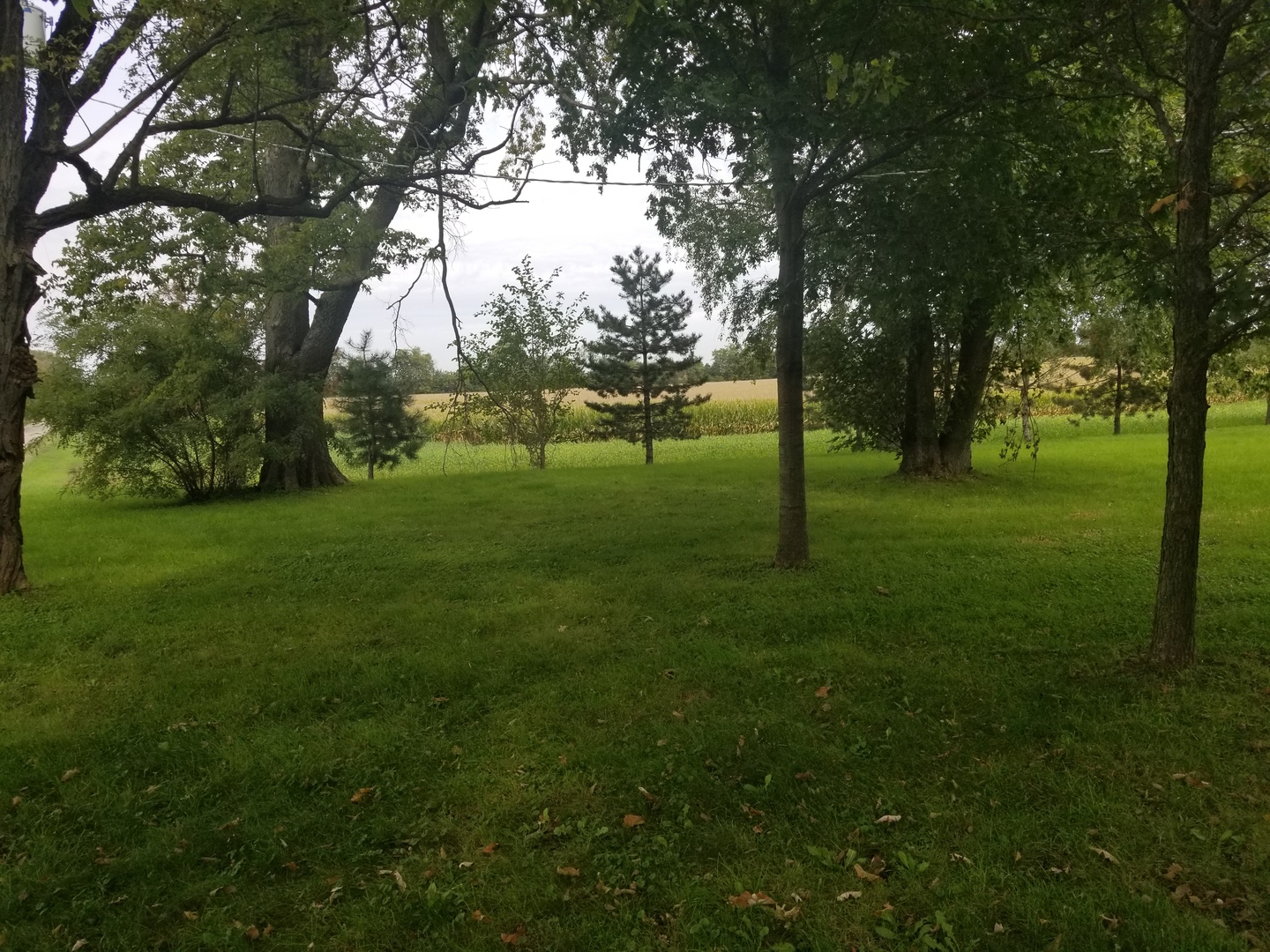 16400 Roods Road Newark, IL 60541 - Photo 8 of 24