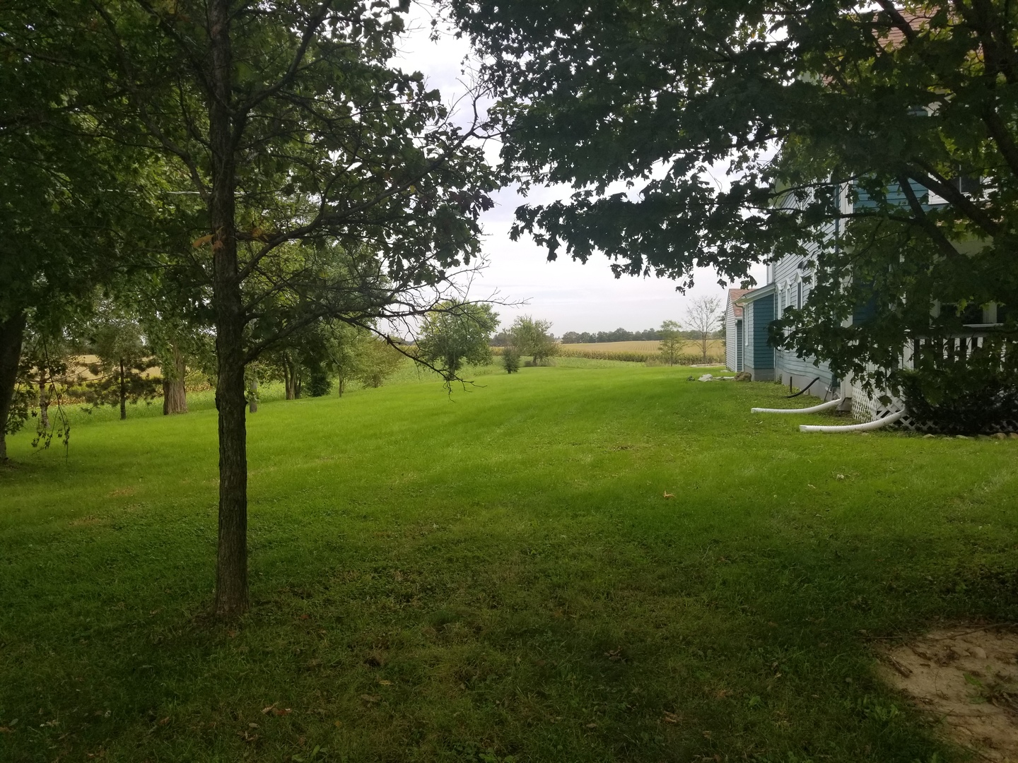 16400 Roods Road Newark, IL 60541 - Photo 9 of 24