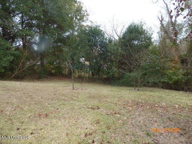 87 West Wilderness Road Natchez, MS 39120 - Photo 5 of 12 P1460119