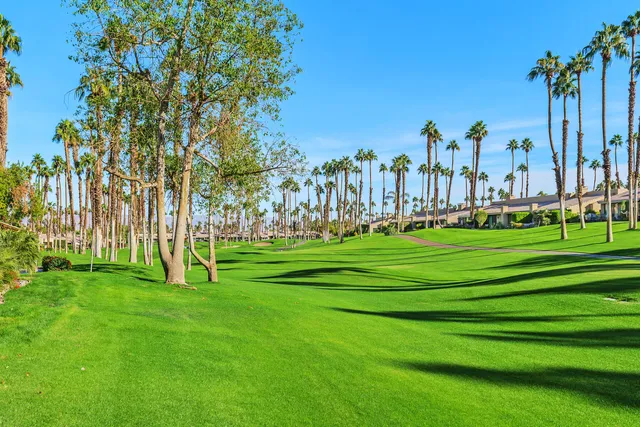 a childrens park with lots of trees and plants