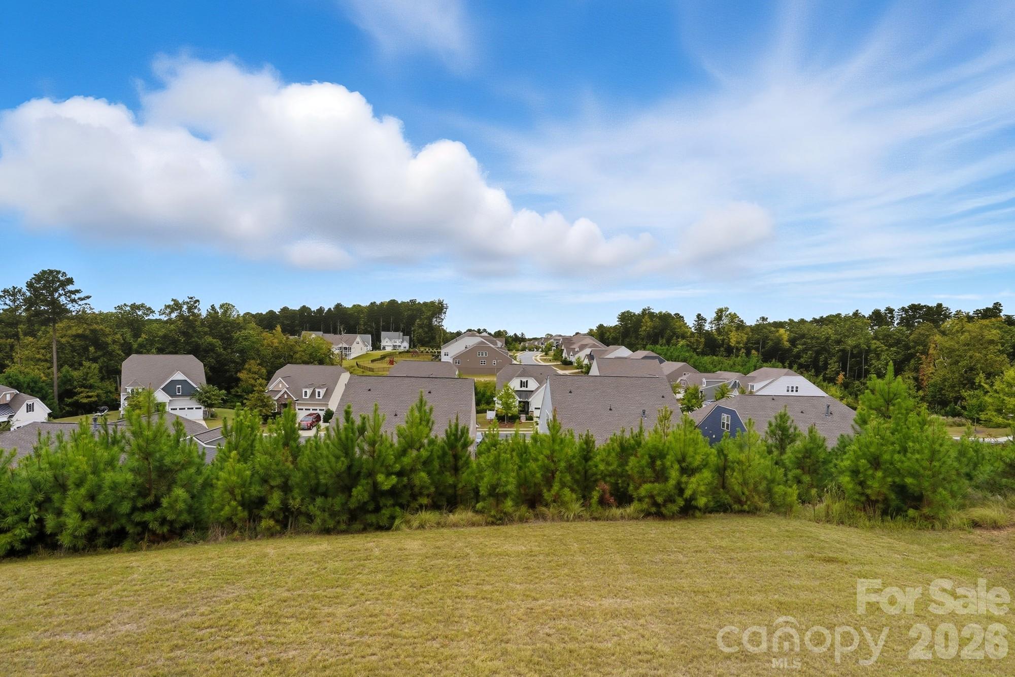 16617 Cozy Cove Road Charlotte, NC 28278 - Photo 40 of 48