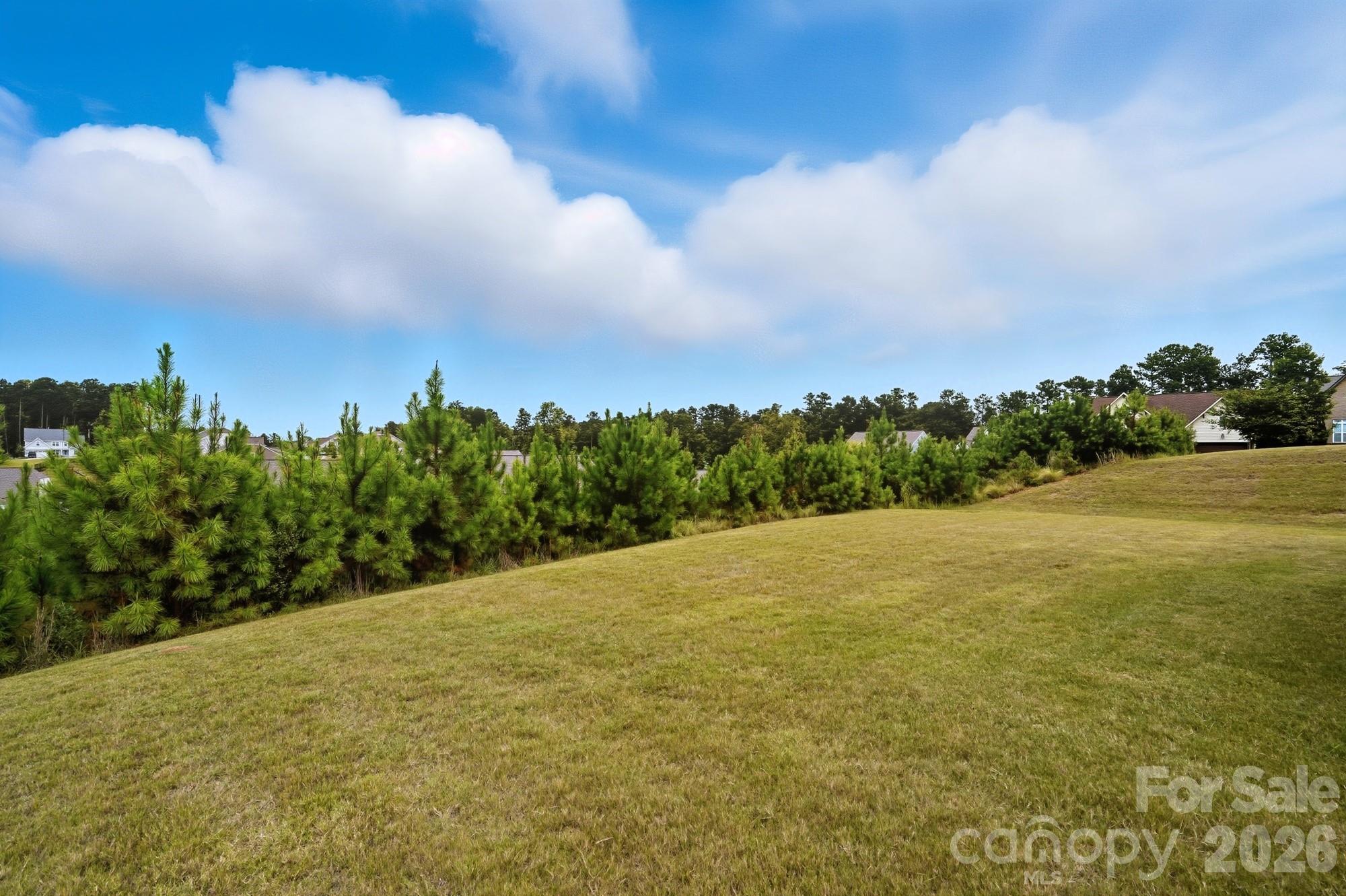 16617 Cozy Cove Road Charlotte, NC 28278 - Photo 42 of 48