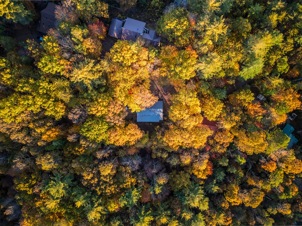 210 East Overbend Trail Blue Ridge, GA 30513 - Photo 35 of 38 a flower garden view