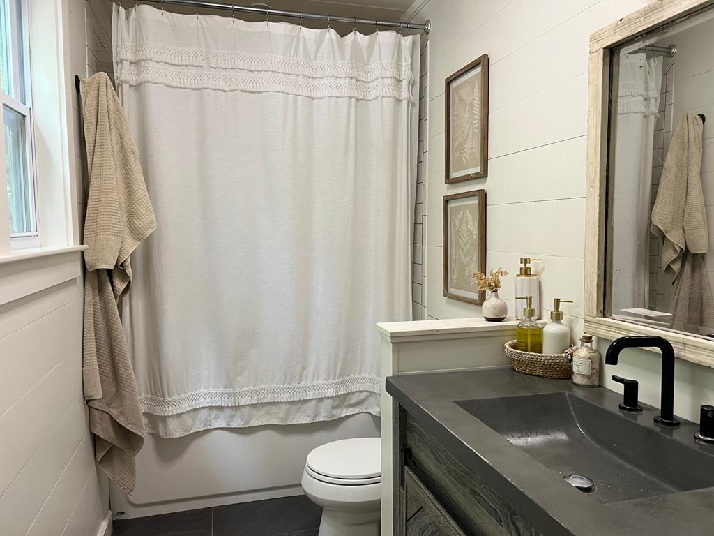 210 East Overbend Trail Blue Ridge, GA 30513 - Photo 63 of 69 a bathroom with a sink a toilet and a mirror