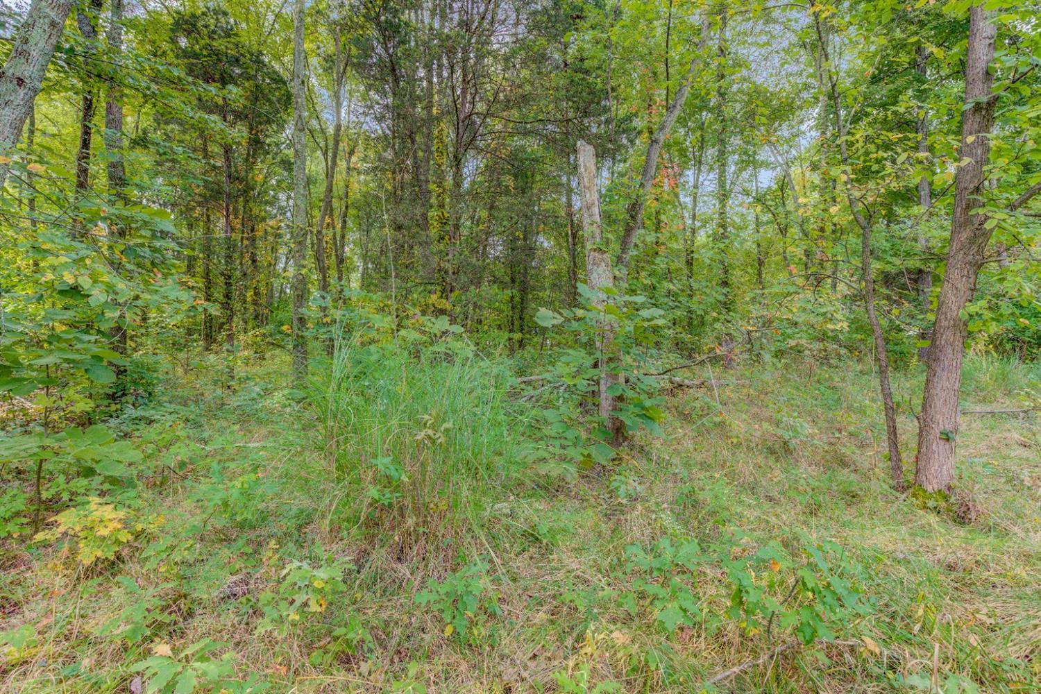 A Locust Lake Road Amelia, OH 45102 - Photo 27 of 45 Gallery Image 27