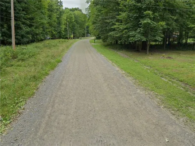 a view of a lake with a large trees