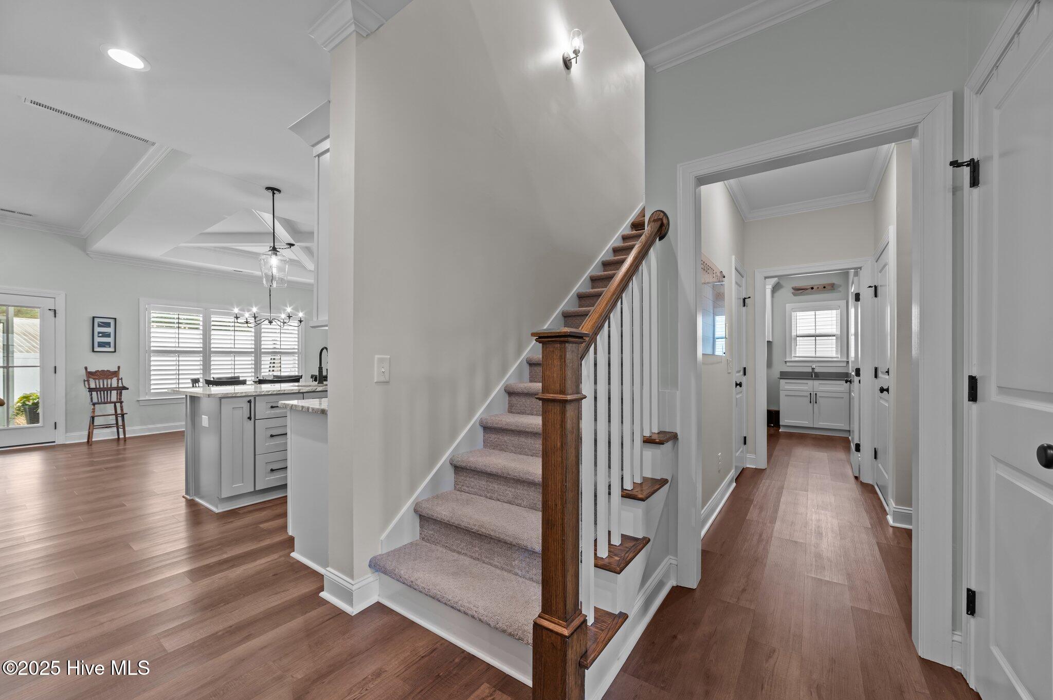 35-web-or-mls-LHV_9568