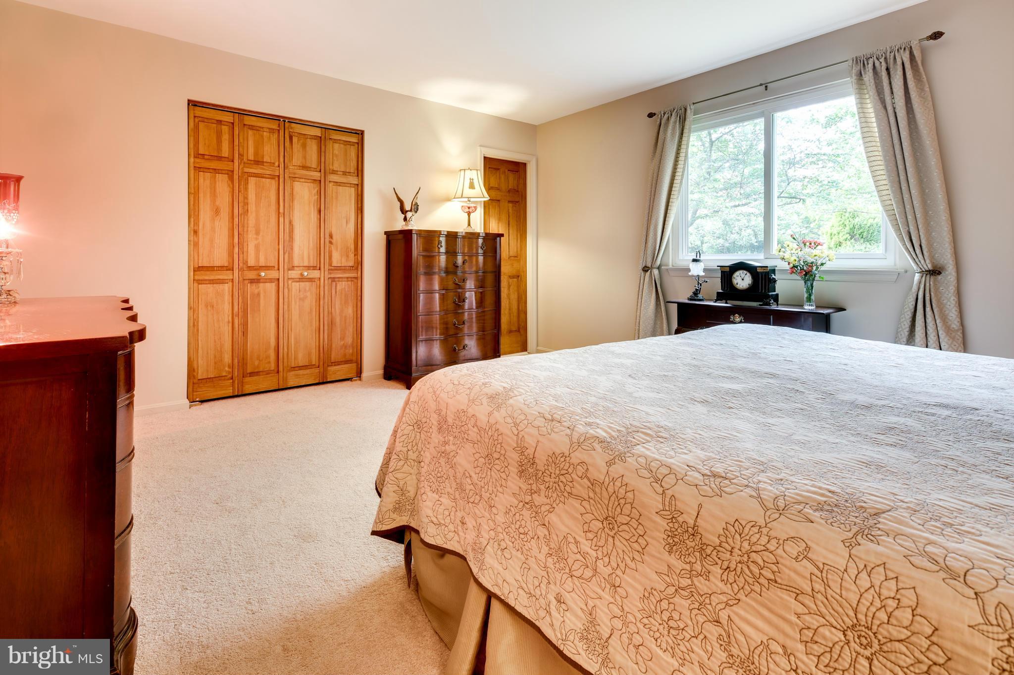 10411 Carlyn Ridge Road Damascus, MD 20872 - Photo 14 of 28 Bedroom (Master)
