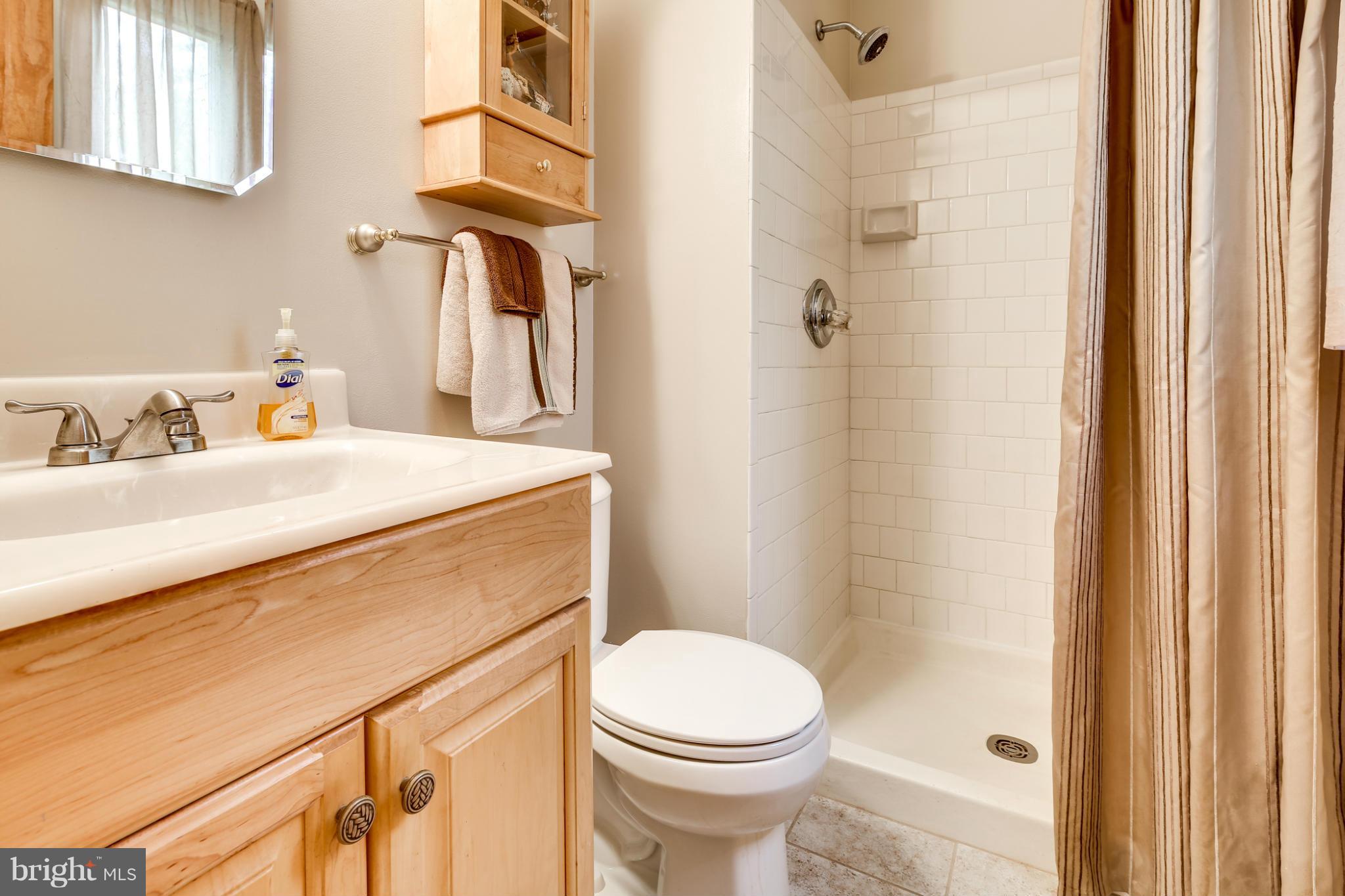 10411 Carlyn Ridge Road Damascus, MD 20872 - Photo 16 of 28 Bath (Master)