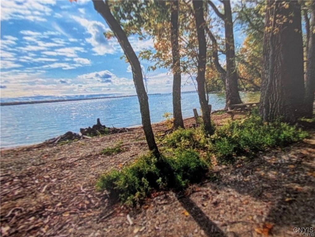 25800 Walrath Road Lyme, NY 13622 - Photo 49 of 50