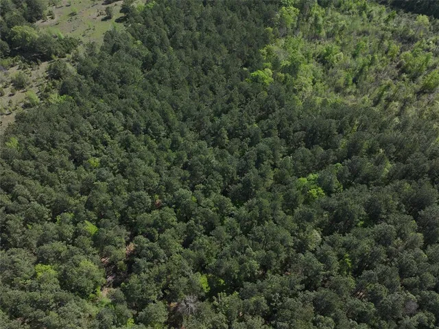 $69,900 | 0 Highway 77 East, Atlanta, TX 75551