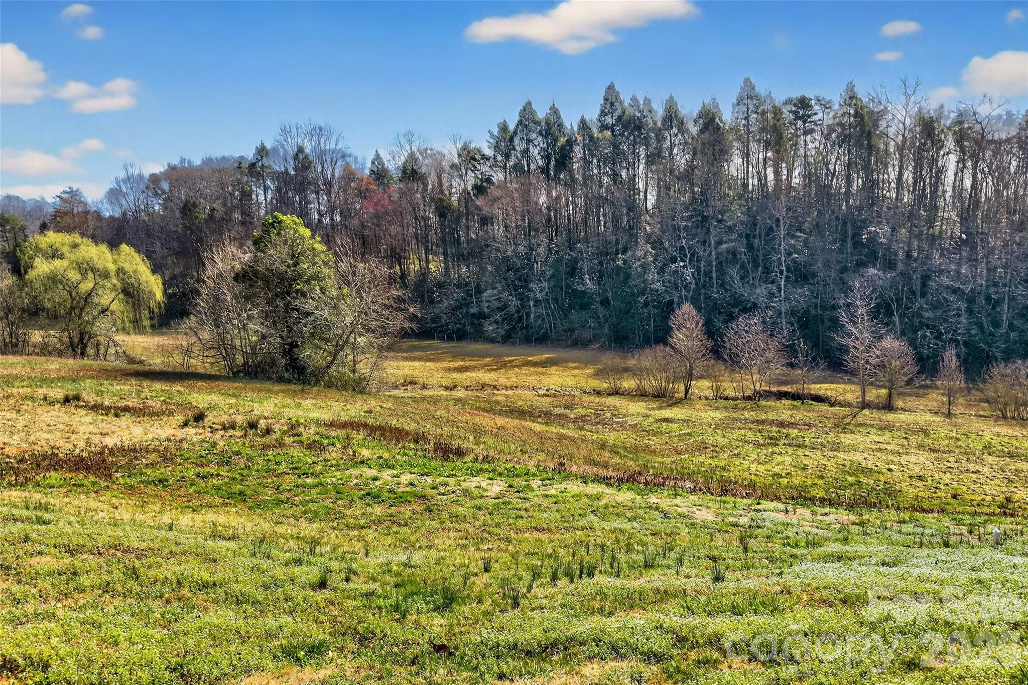 4259 Highway 70 Marion, NC 28752 - Photo 41 of 48