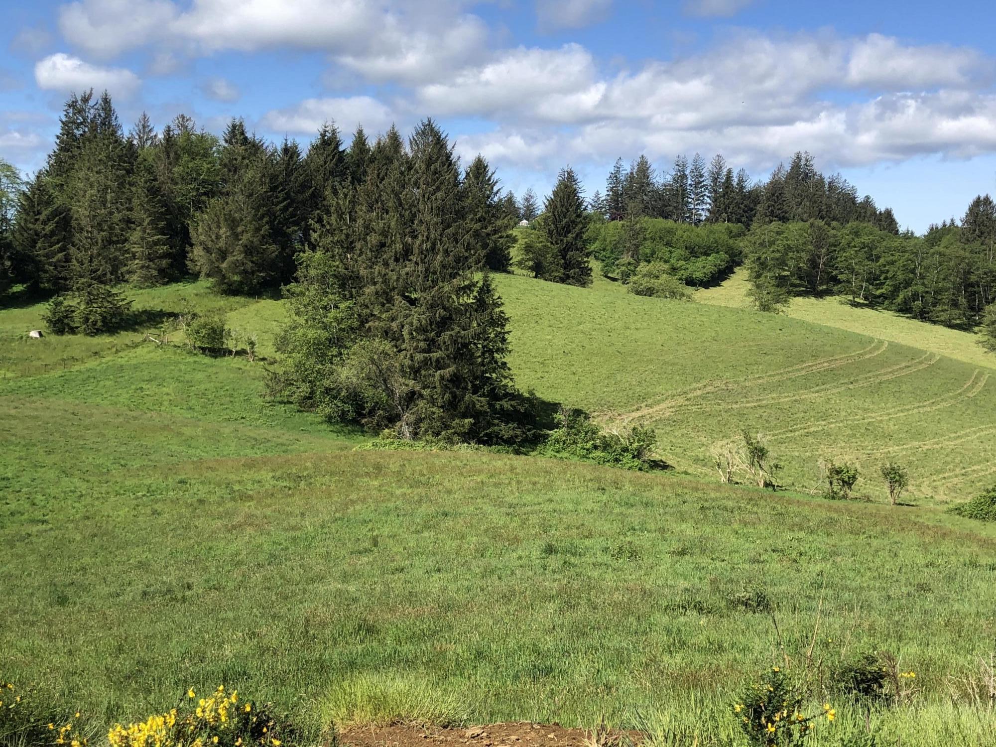 201 Hodgdon Road Tillamook, OR 97141 - Photo 17 of 33 IMG_7799
