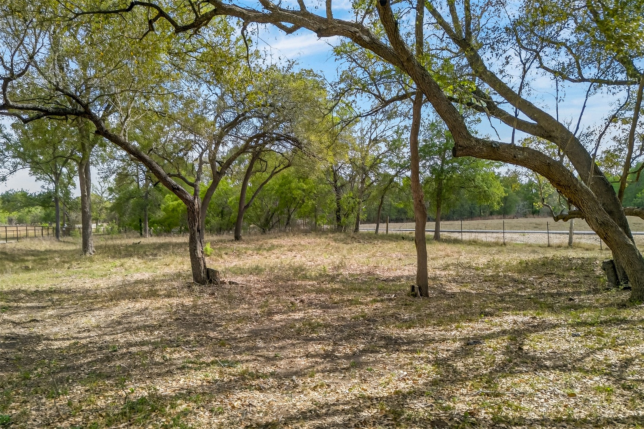 1077 Burdette Wells Road Lockhart, TX 78644 - Photo 26 of 38 a view of a yard with trees