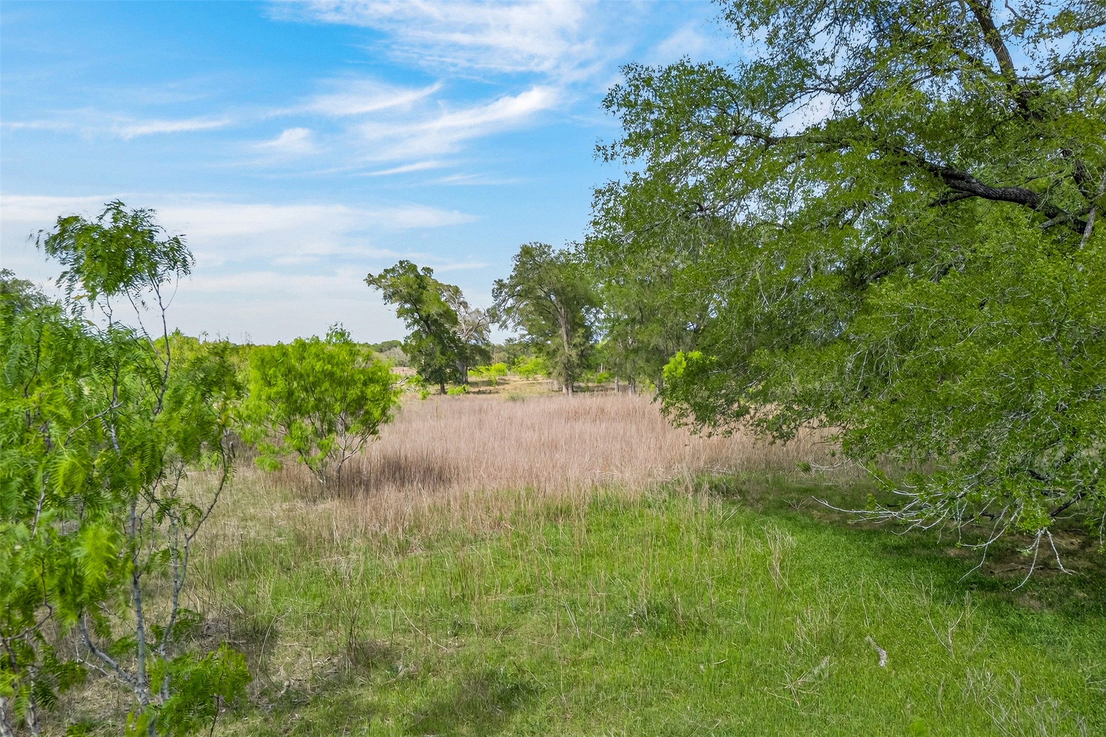 1077 Burdette Wells Road Lockhart, TX 78644 - Photo 30 of 38 a view of a garden