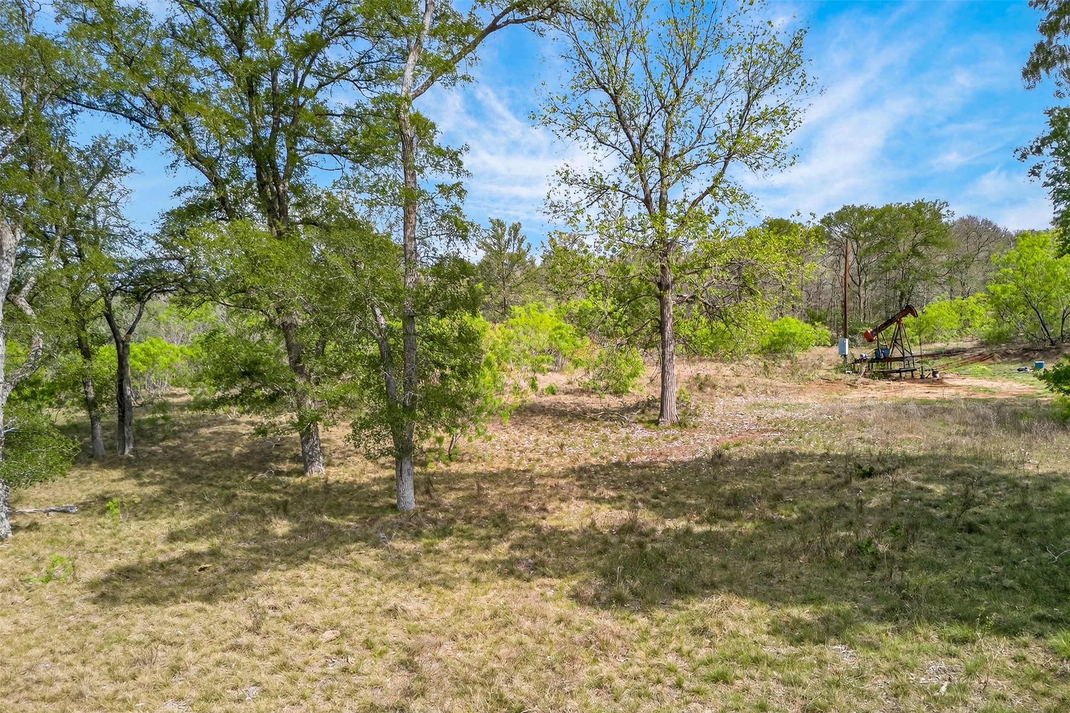 1077 Burdette Wells Road Lockhart, TX 78644 - Photo 34 of 38 a view of a yard with plants and trees