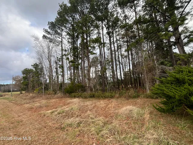 $39,000 | 249 Roland Road, Arapahoe, NC 28510