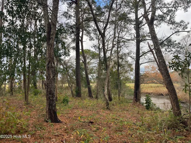 $39,000 | 249 Roland Road, Arapahoe, NC 28510