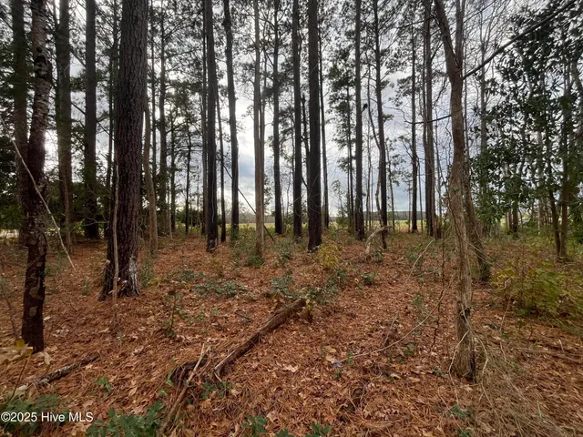 $39,000 | 249 Roland Road, Arapahoe, NC 28510