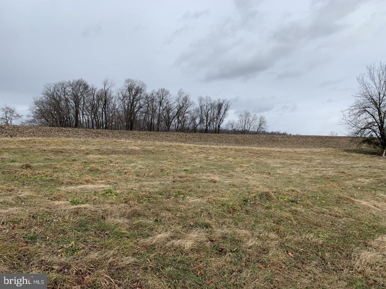 1535 Crawford Road Red Lion, PA 17356 - Photo 8 of 26 Land behind house
