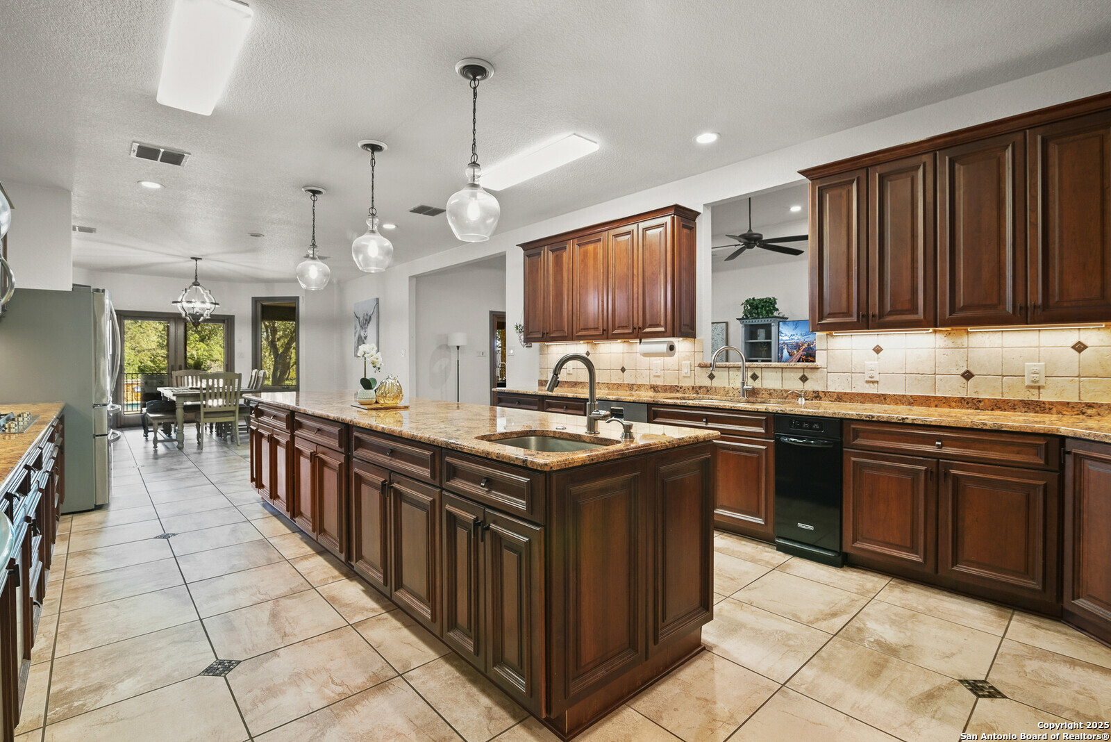 584 Arbor View Adkins, TX 78101 - Photo 22 of 59