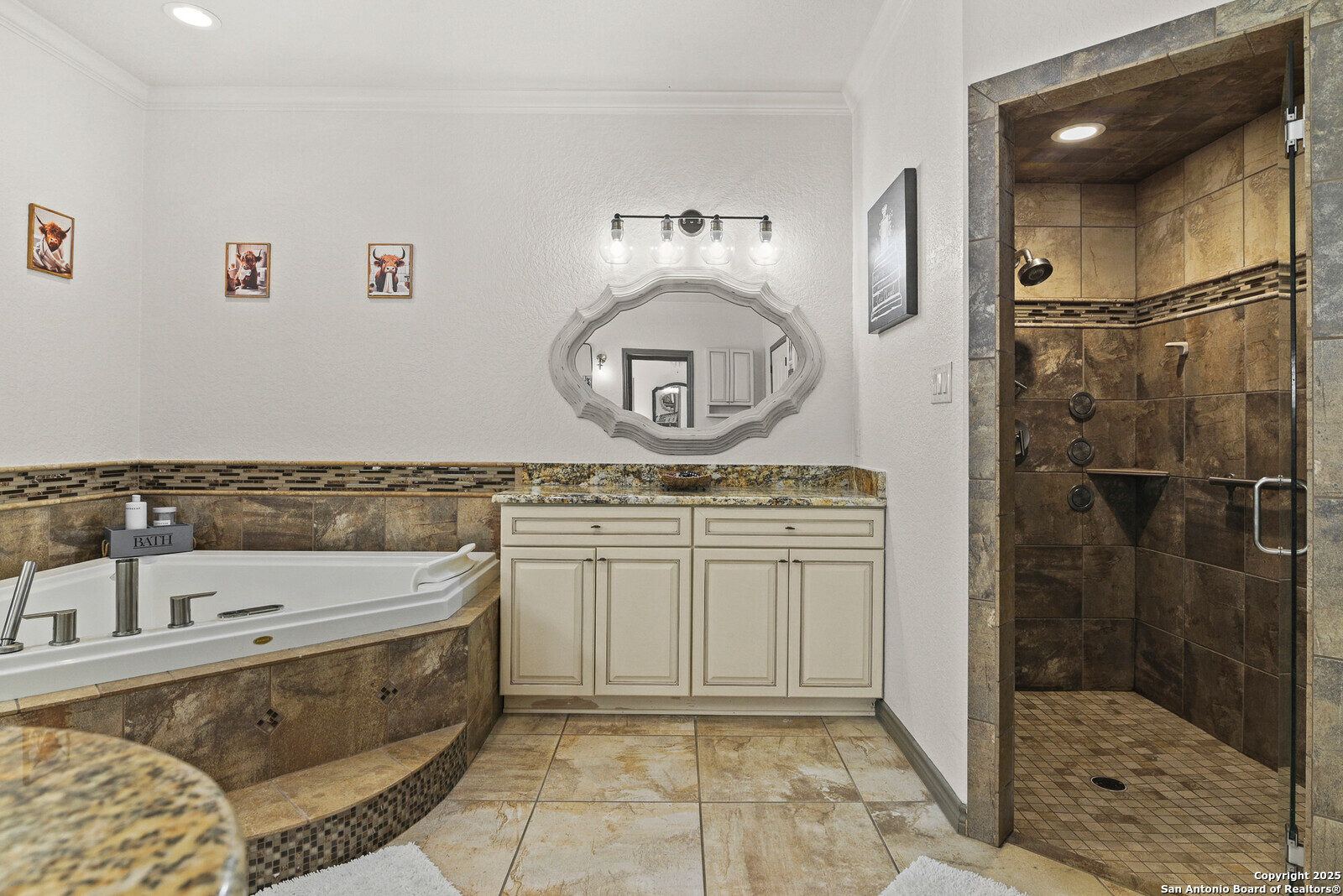 584 Arbor View Adkins, TX 78101 - Photo 25 of 59