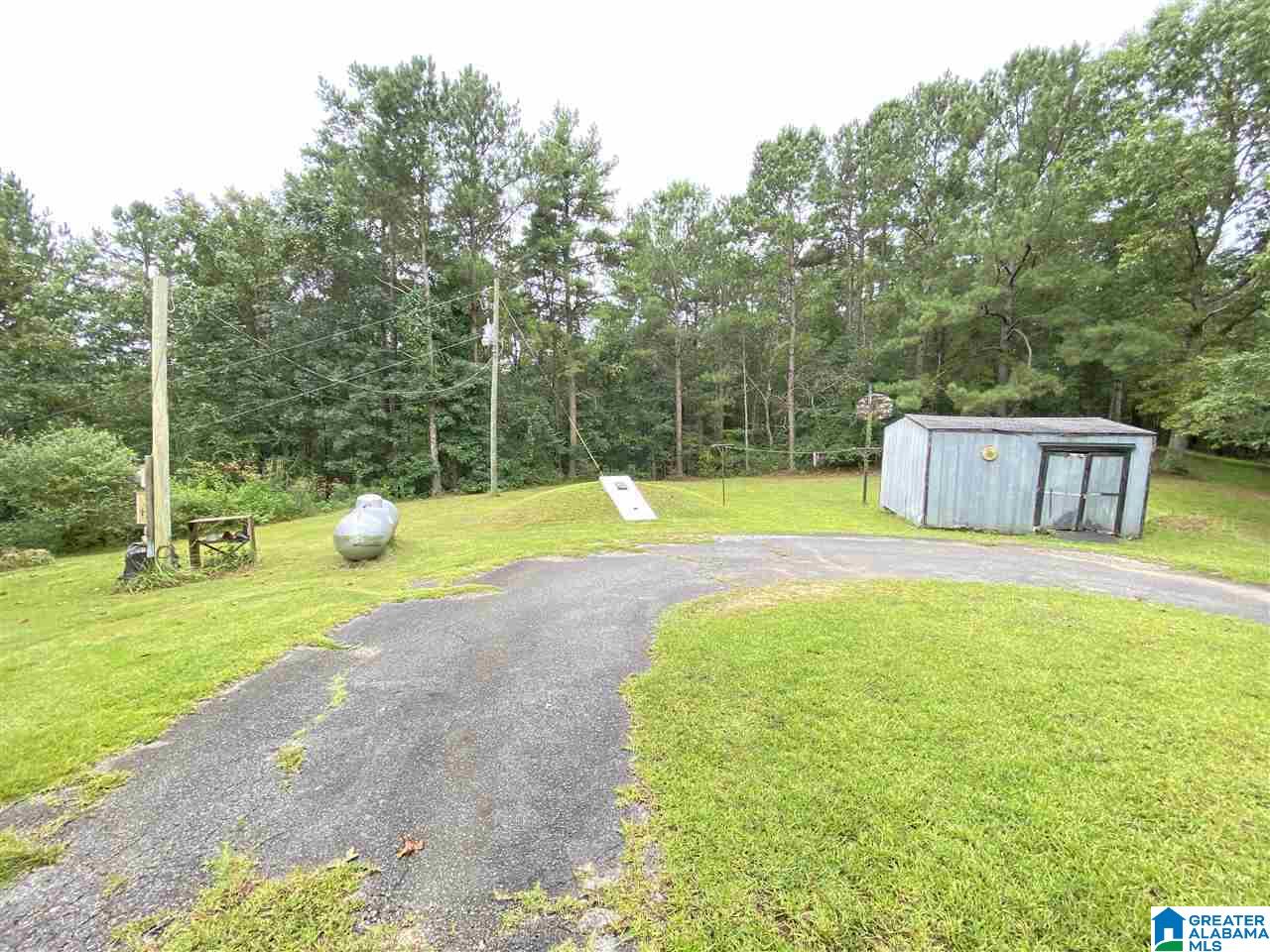 4169 Cook Springs Road Pell City, AL 35125 - Photo 8 of 35