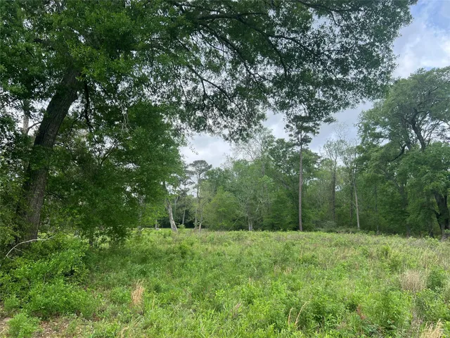 $71,333 | 0 North Mlk Drive, Beaumont, TX 77701