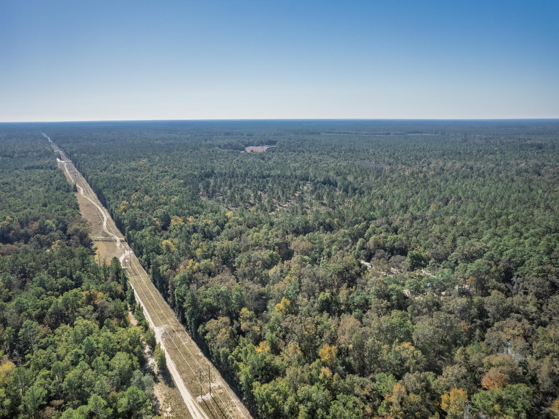 9412 Ranchero Road Tallahassee, FL 32305 - Photo 8 of 22