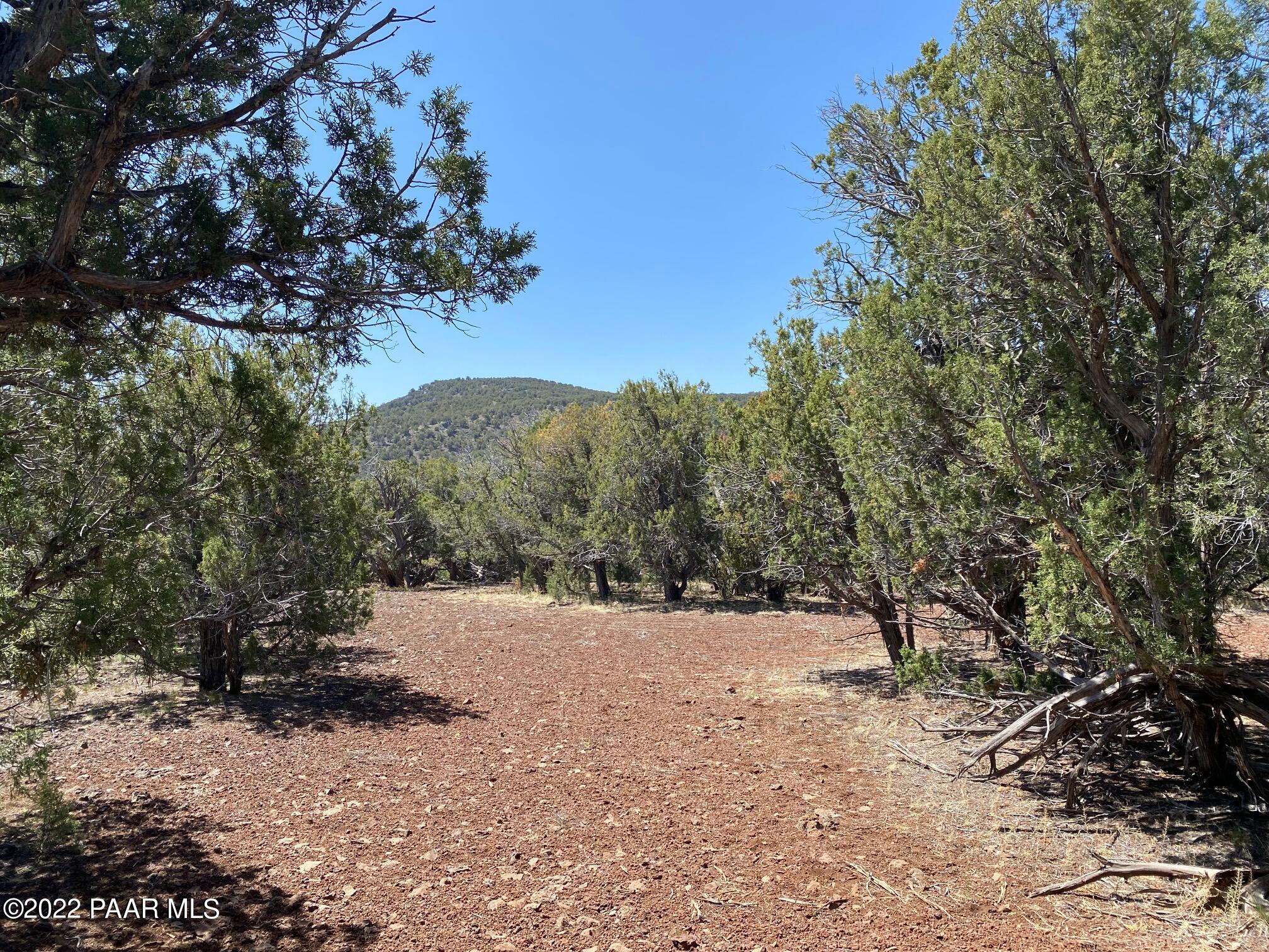 Lot 392 Flat Tank Road Williams, AZ 86046 - Photo 1 of 14 bottom 3