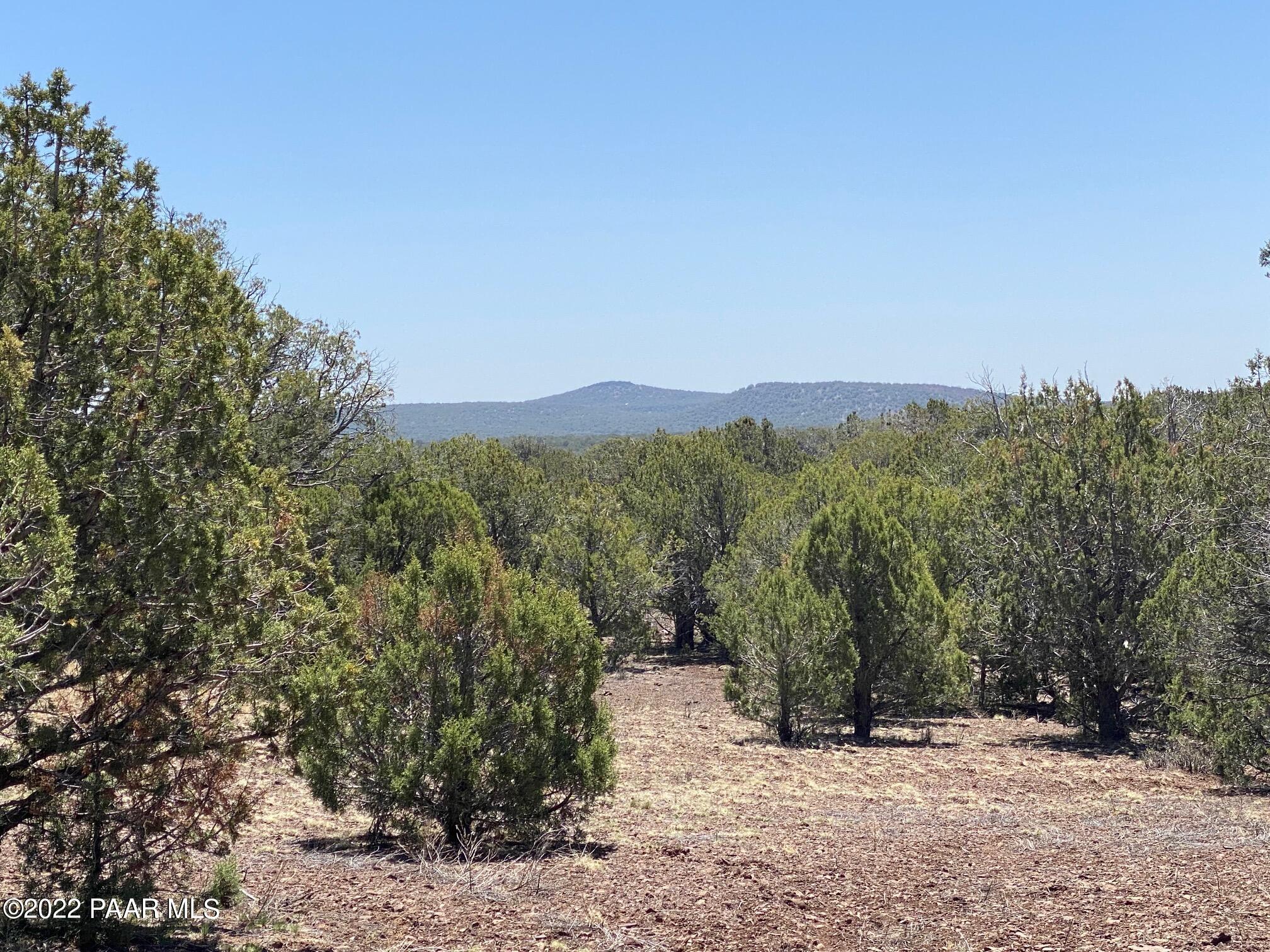 Lot 392 Flat Tank Road Williams, AZ 86046 - Photo 2 of 14 bottom 6