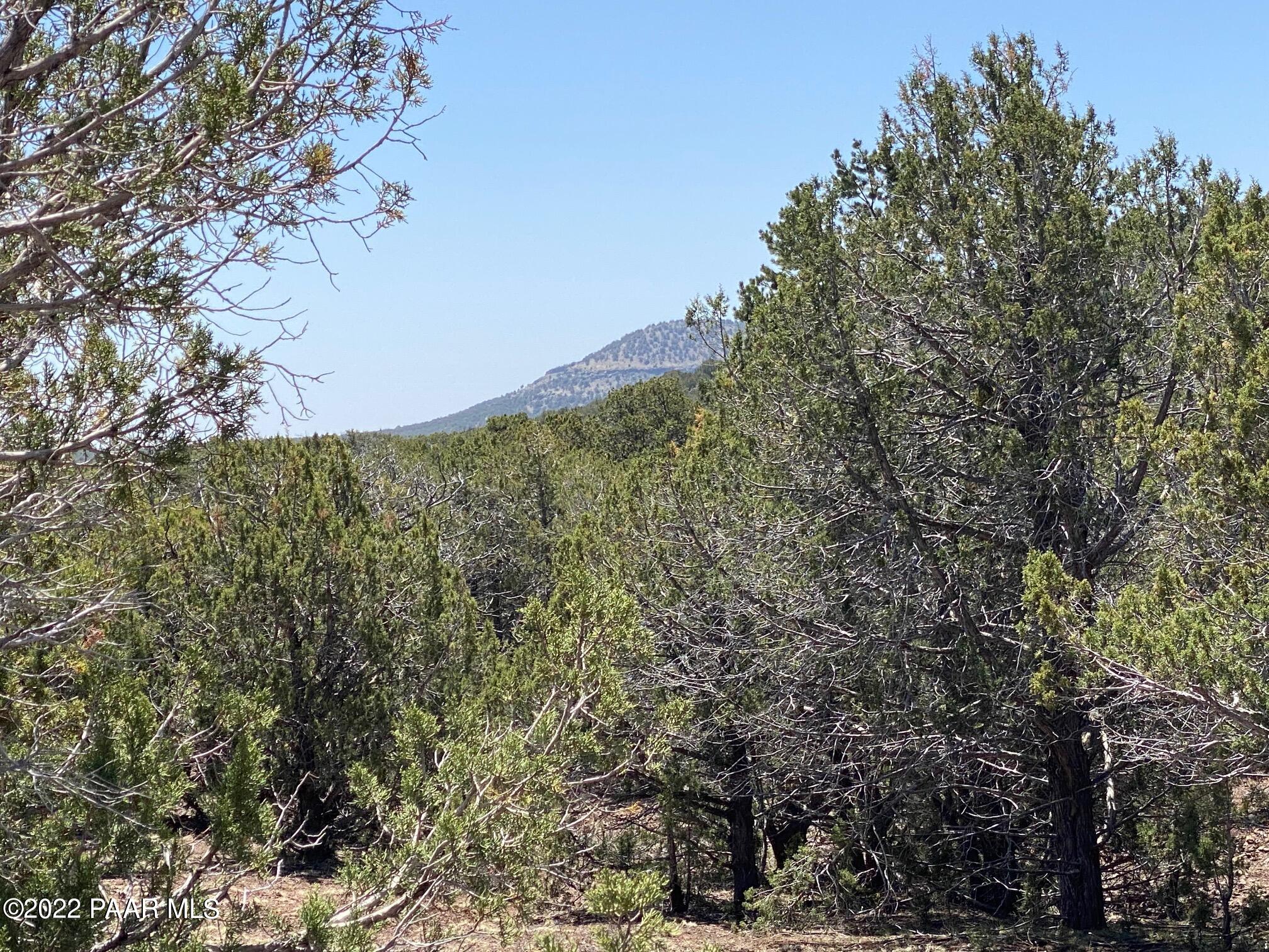 Lot 392 Flat Tank Road Williams, AZ 86046 - Photo 3 of 14 bottom 7