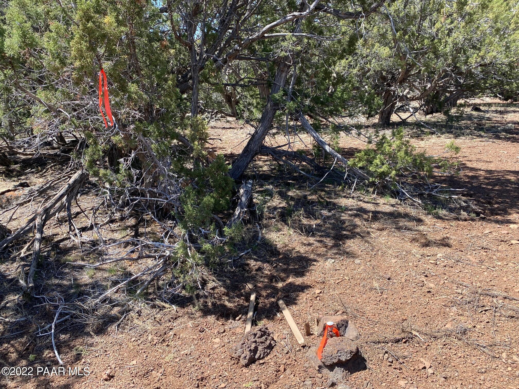Lot 392 Flat Tank Road Williams, AZ 86046 - Photo 6 of 14 bottom 2