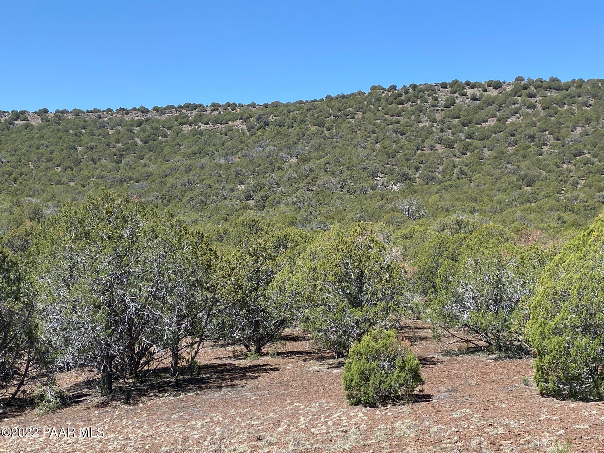 Lot 392 Flat Tank Road Williams, AZ 86046 - Photo 7 of 14 bottom 4