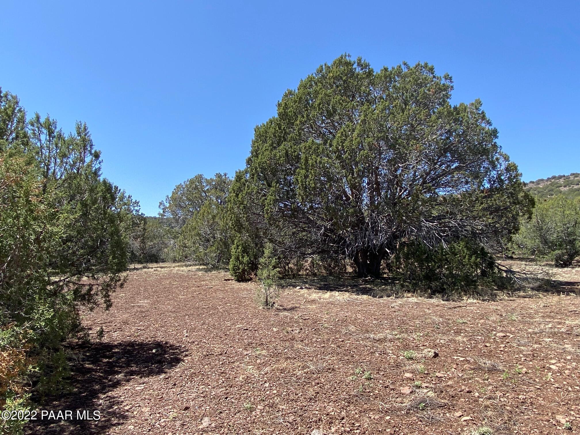 Lot 392 Flat Tank Road Williams, AZ 86046 - Photo 8 of 14 bottom 5