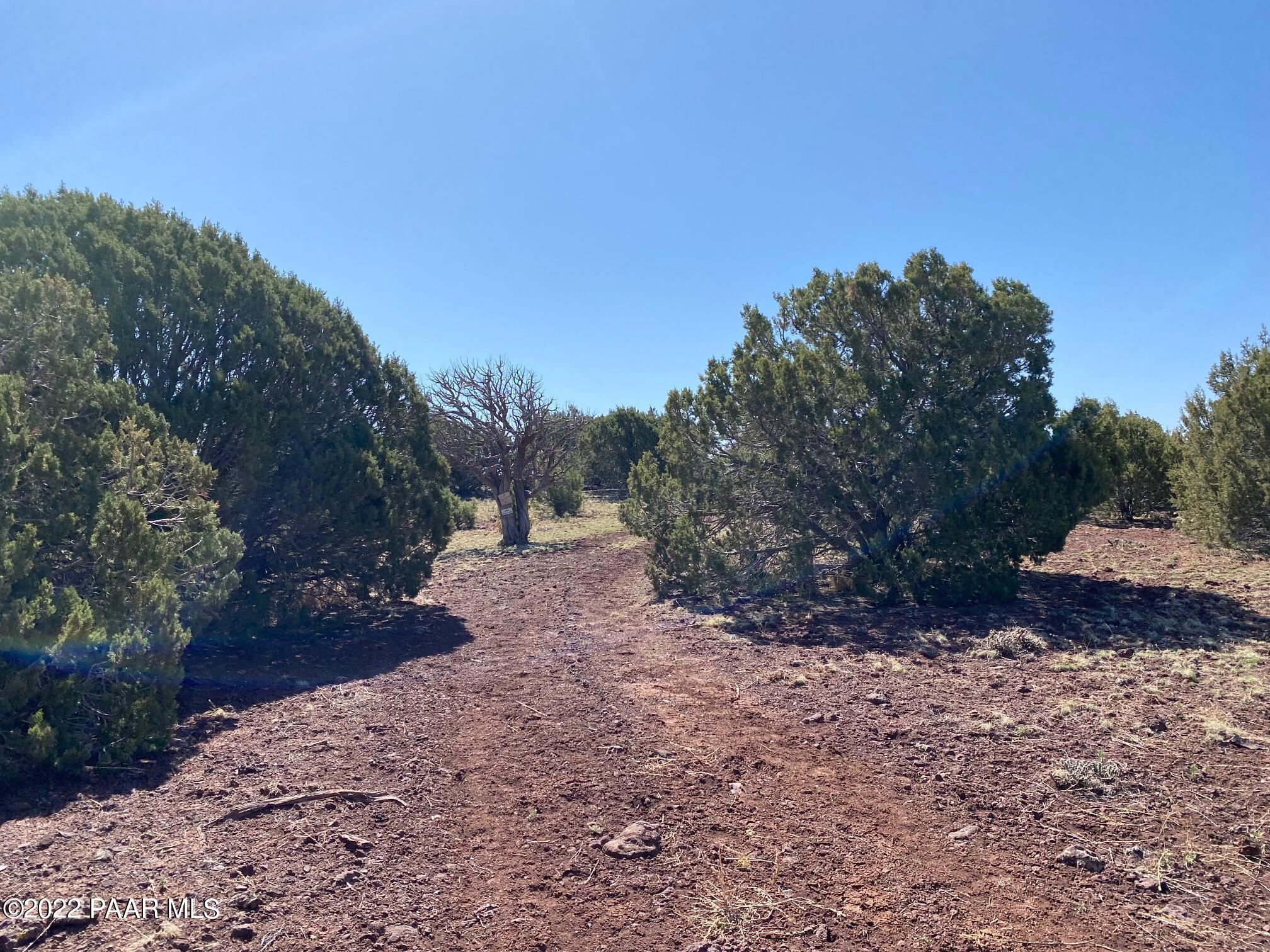Lot 392 Flat Tank Road Williams, AZ 86046 - Photo 10 of 14 top 1