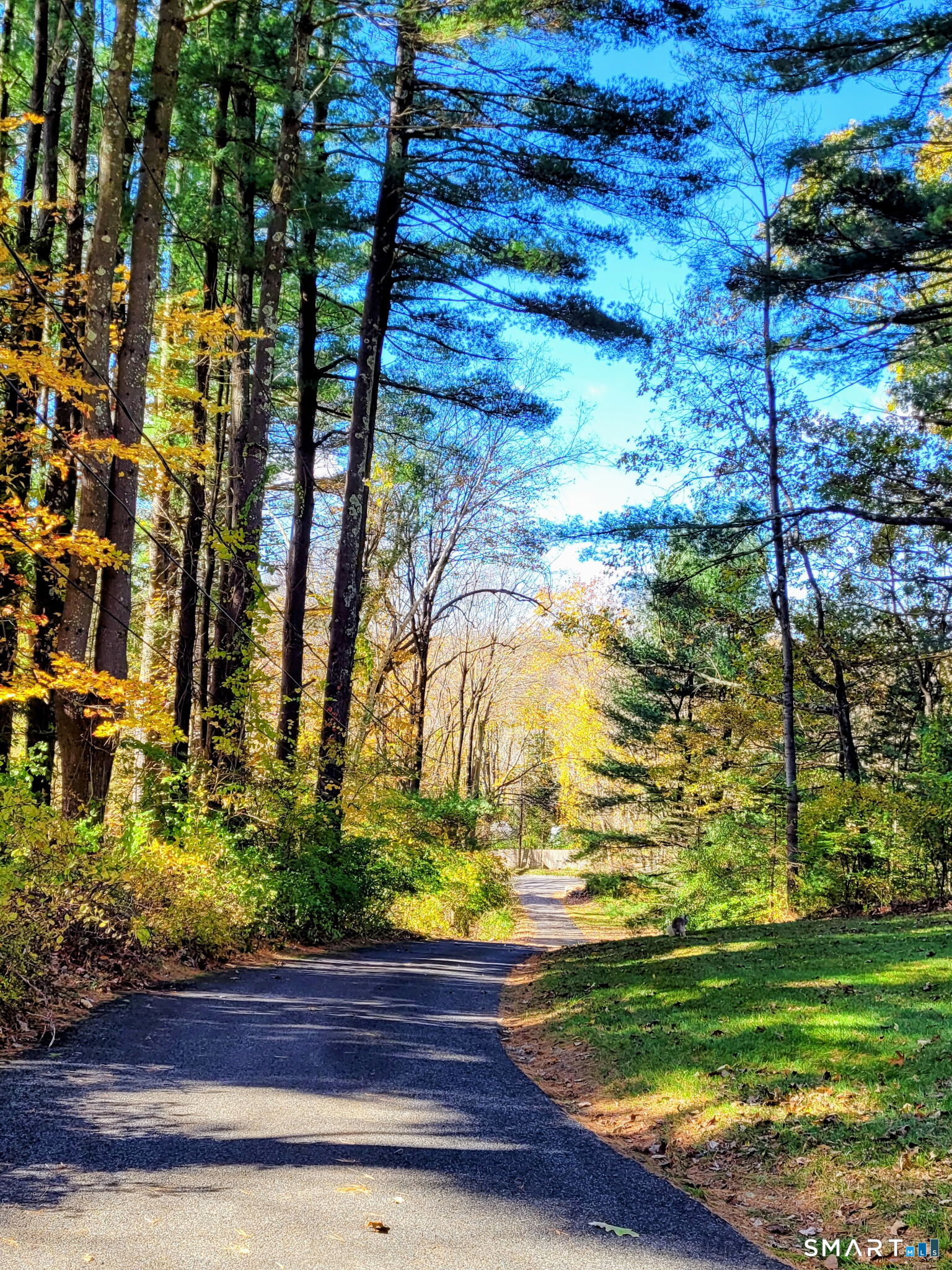 254 Aspetuck Ridge Road New Milford, CT 06776 - Photo 26 of 31 Beautiful seasonal views leading up to the property