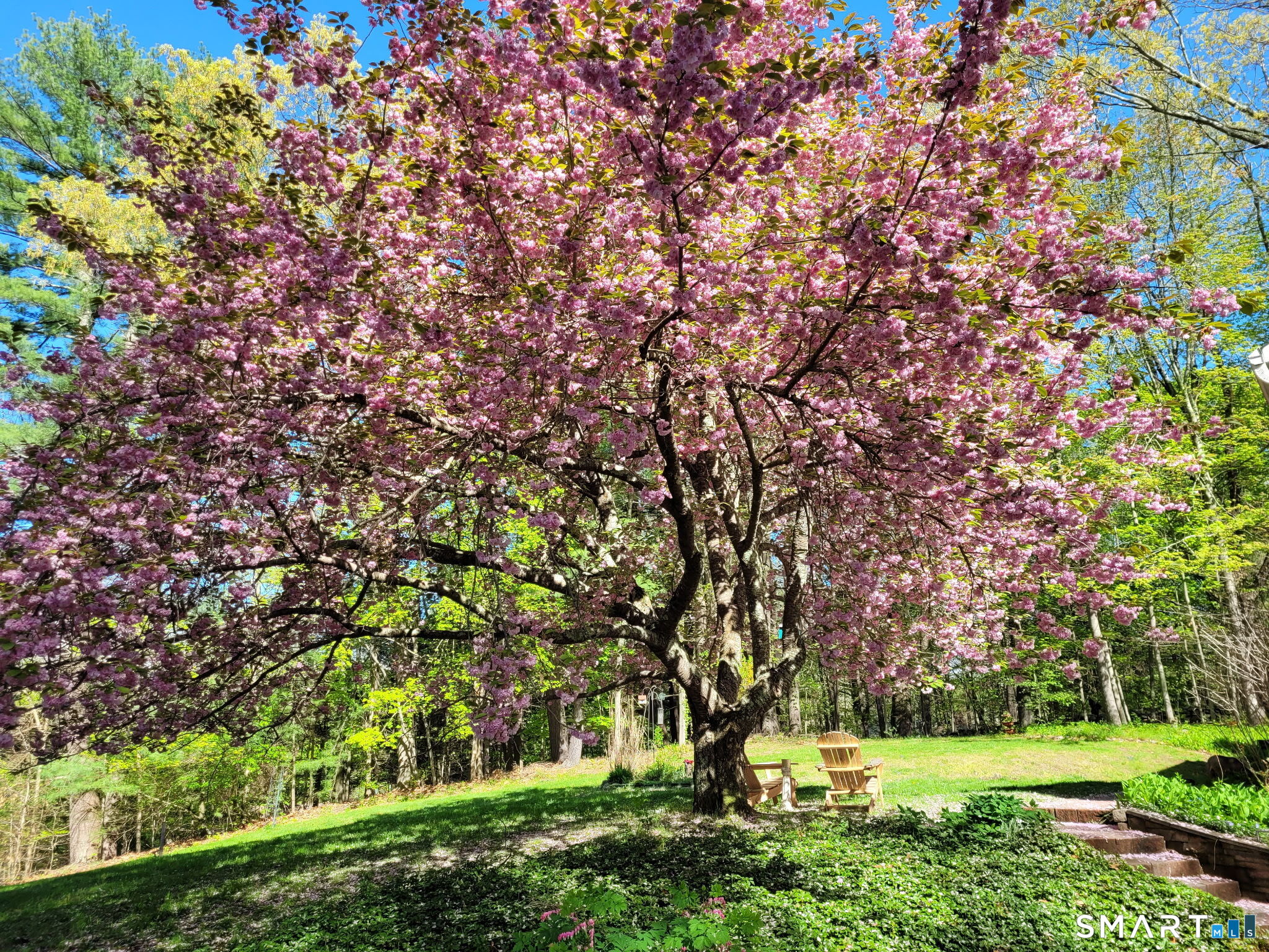 254 Aspetuck Ridge Road New Milford, CT 06776 - Photo 3 of 31 Tranquil setting any time of year