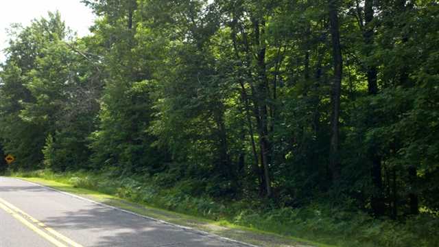102 Rib Lake Rib Lake, WI 54470 - Photo 1 of 1