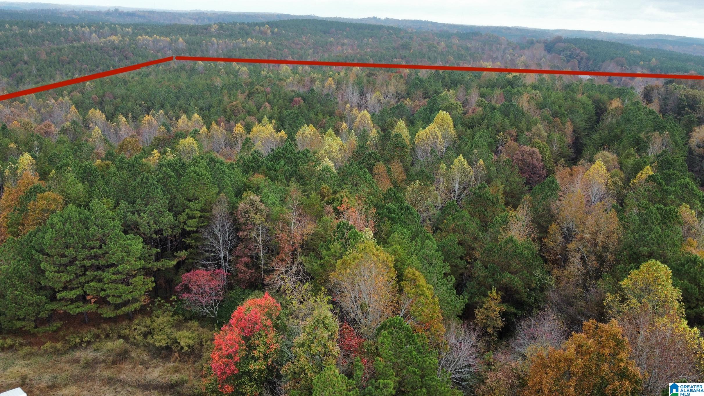 83-acres Byler Road, Unit 83 ACRES Haleyville, AL 35565 - Photo 18 of 19