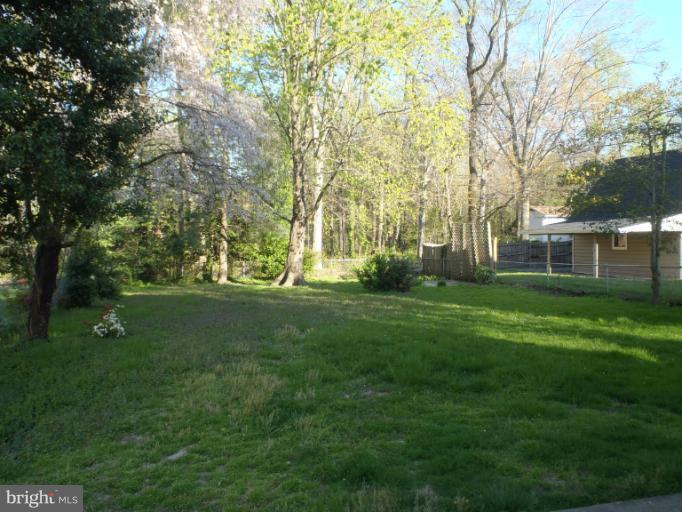 31 Patapsco Road Linthicum Heights, MD 21090 - Photo 1 of 20 Rear Yard