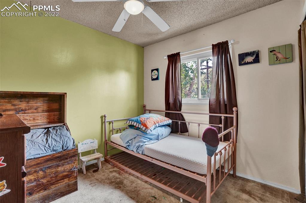 629 Blossom Field Road Fountain, CO 80817 - Photo 18 of 25 a living room with furniture and a window